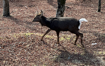 ・1月は落ち着きやすい、のか